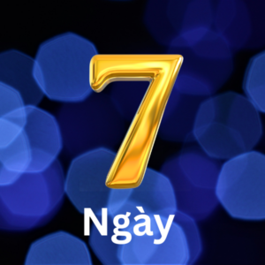 Gói 7 ngày